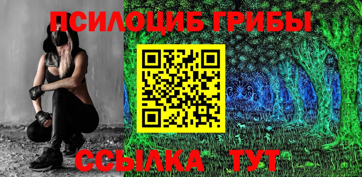 Псилоцибиновые грибы Psilocybine cubensis Приморско-Ахтарск