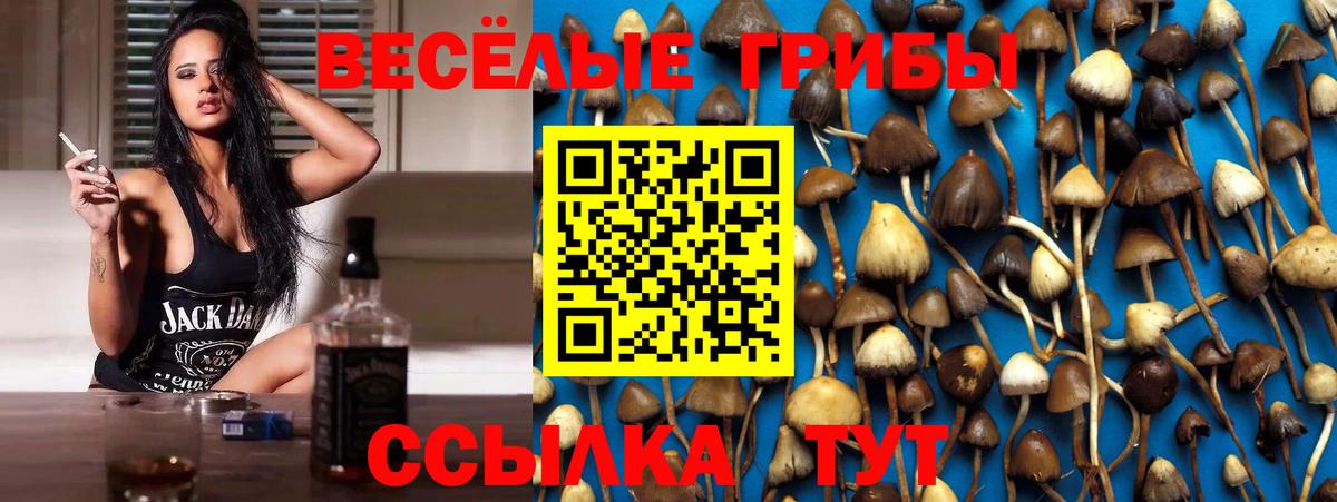 Приморско-Ахтарск  Галлюциногенные грибы GOLDEN TEACHER  Вход с VPN  Псилоцибиновые грибы мухоморы 